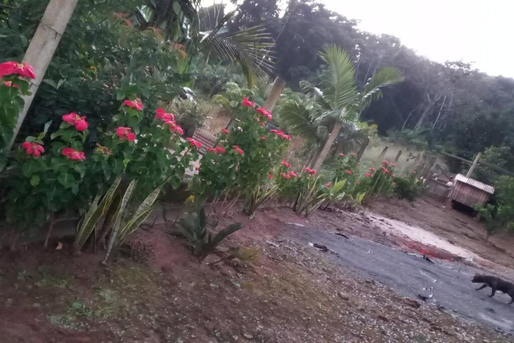 Casa de Férias Casa Da Bela Pomerode